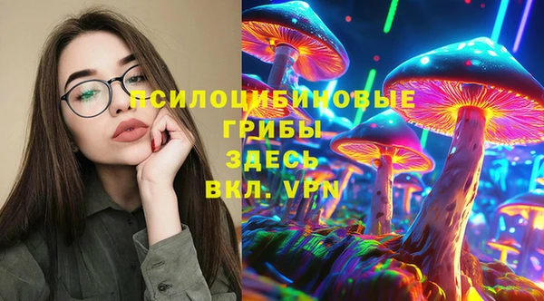 MDMA Горнозаводск